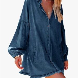Denim Blue Button-Up Dress